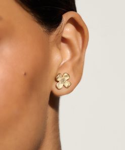 Christinetate.shop24100083QDDT 3